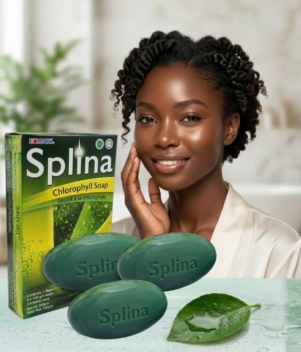 Savon splina